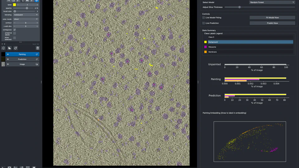 CellCanvas
