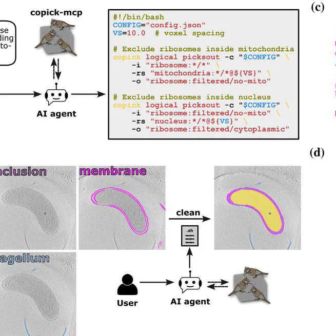 copick: An open dataset interface and toolkit for collaborative annotation and analysis of cryo-electron tomography data