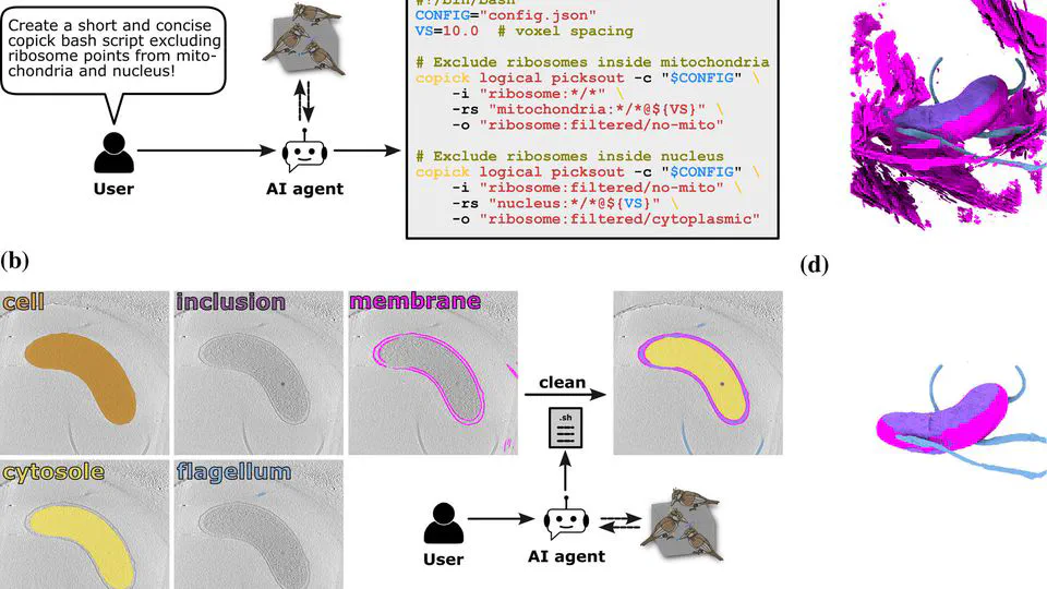 copick: An open dataset interface and toolkit for collaborative annotation and analysis of cryo-electron tomography data