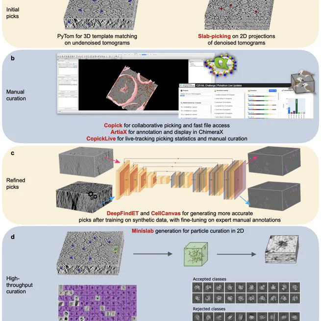 Annotating CryoET Volumes: A Machine Learning Challenge