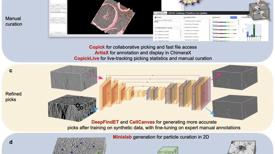 Annotating CryoET Volumes: A Machine Learning Challenge